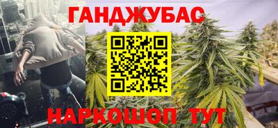 2c-b Кингисепп